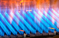 Westown gas fired boilers